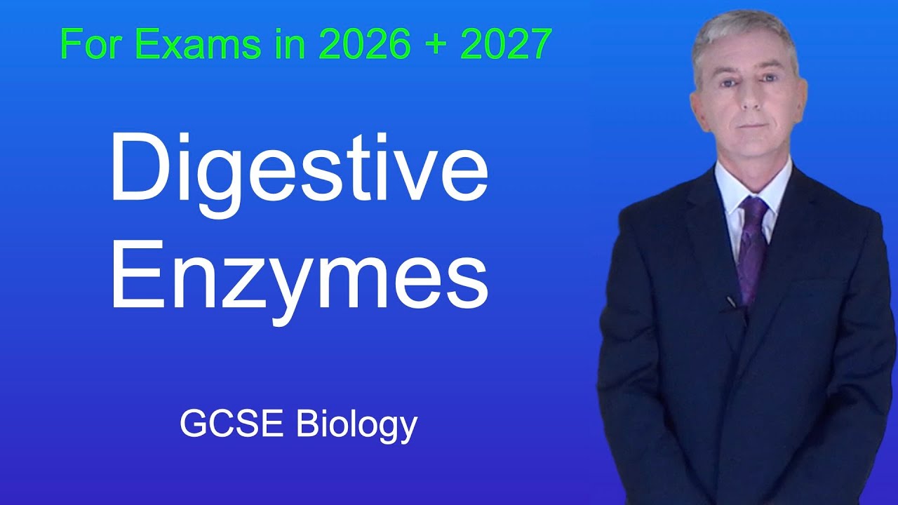 GCSE Biology Revision "Digestive Enzymes"