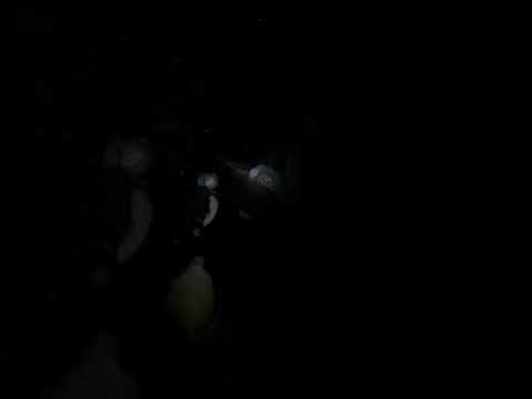 Ver video