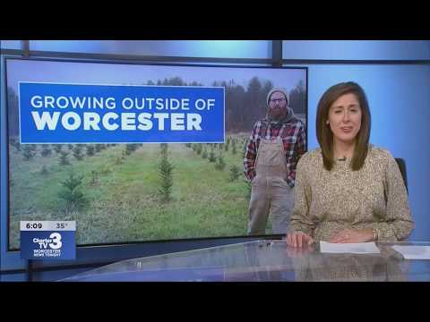 WNT 6pm News -- November 20th, 2019