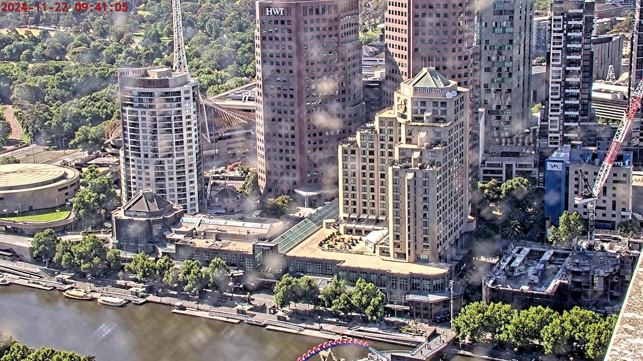 367 Collins Falcons 2024 - South facing