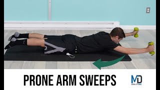 Prone Arm Sweeps Exercise - Master Now!