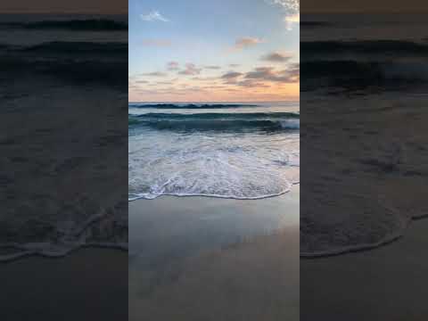 Let the waves hit your feet , and the sand be your seat. ❤️🏝️🌊.     #travel #california #beach
