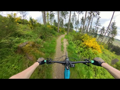 Trailpark Mehring TRAVERSE & MOSHTRAIL