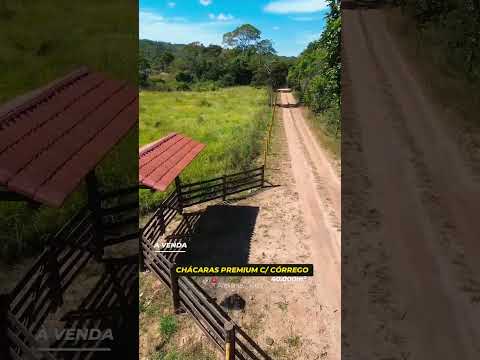 🌊 CHÁCARA COM 4 HECTARES E 400 METROS DE RIO | OPORTUNIDADE EM ALEXÂNIA-GO