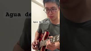 Agua de Beber - John Pizzarelli version ( guitar solo cover ) #jazz #guitar