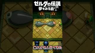 マ〇オさん出てきた  #ゼルダの伝説 夢をみる島 #夢を見る島  #ゼルダの伝説 #ゲーム実況 #実況 #Shorts