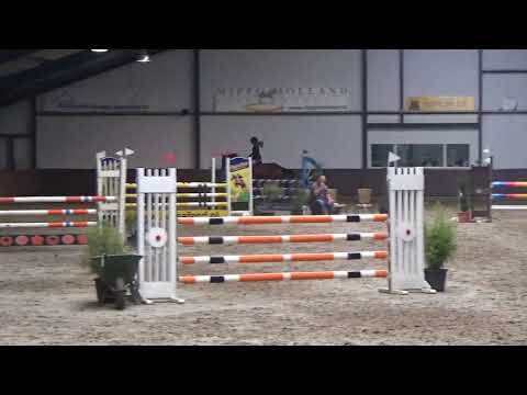 Hyacinthe VDL (Arezzo VDL x Emilion)