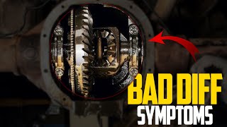 5 Signs of a Bad Differential – Symptoms, Repair Cost, and Driving Risk
