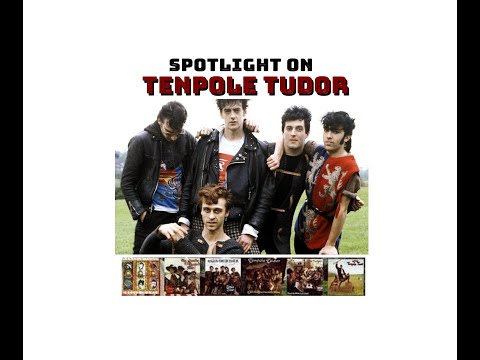 Spotlight on Tenpole Tudor #vinylcommunity