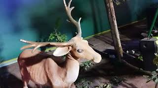 #vijayawada bhavani puram #exhibition full video🎥#viral #trending #nature 🌿🍃#guram
