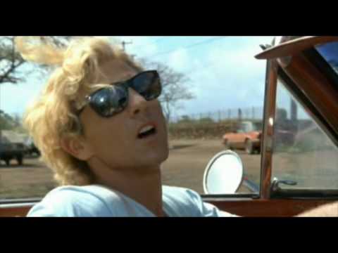 Nobody Listens to Turtle