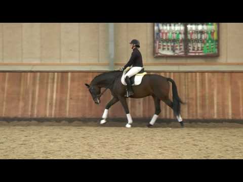 Katrinelund Ferrari  (Enzo Ferrari /  Lord Loxley)