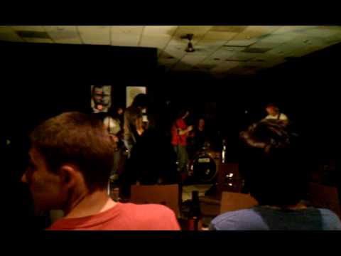 Stars above by whispering pines