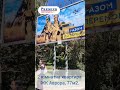 Видео превью