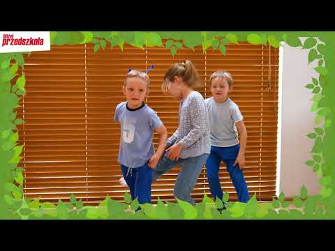 Nogi stonogi – zabawa ruchowa 🐛 | piosenki dla dzieci