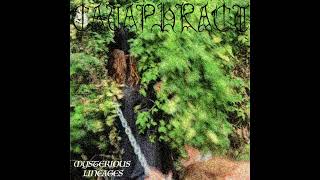 Download lagu Cataphract (US) — Mysterious Lineages — 2025 full length mp3 Download lagu Cataphract (US) — Mysterious Lineages — 2025 full length mp3