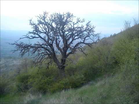 Ja u selo ne se vrakam   Krume Spasovski