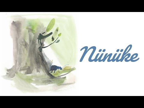 Drazsé zenekar // Nünüke