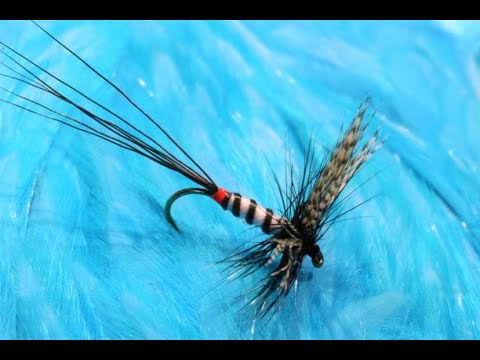 Tying a Spent Westie with Martyn White