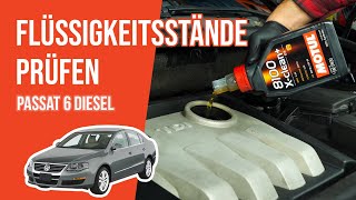 Youtube thumbnail of video "Die Flüssigkeitsstände prüfen Passat 6 1.9 TDI 📏"