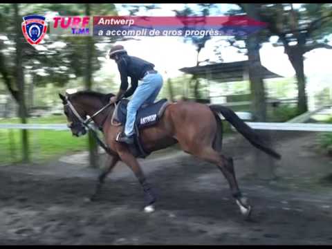 FLOREAL NEWS - RACE MEETING 37 (03.12.2016)