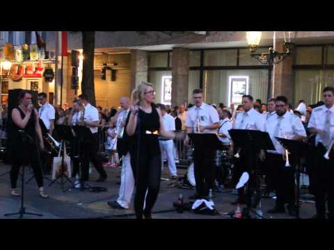 Platzkonzert The Fantastic Company 2015