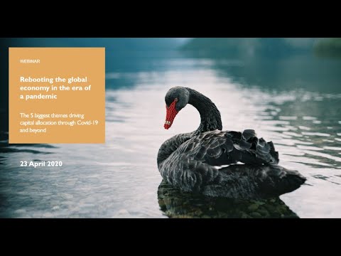 Webinar | Rebooting the global economy in the era of a pandemic