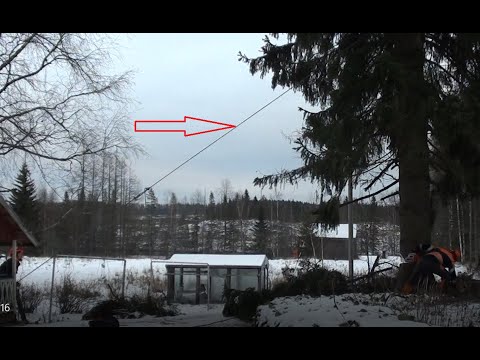 Metsolan Metsäkoulu 230 - Miten köydellä ohjataan puun kaatumista