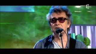 Jean-Louis Murat, en Live avec "French Lynx" - C à vous - 05/05/2016