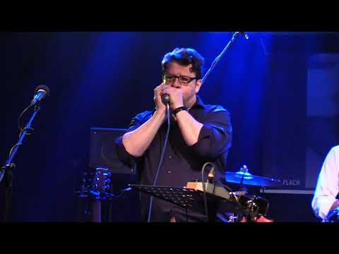 Mundharmonikalive 2022 - The Blues Alligators