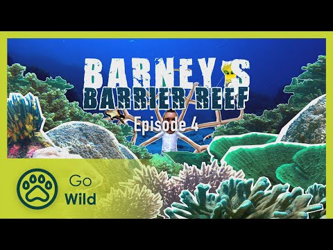 Veggies and meat eaters - Barneys Barrier Reef 4/20 - Go Wild