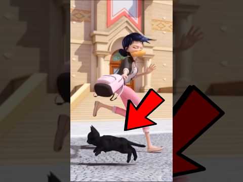 Whose cat is this?  #miraculous 