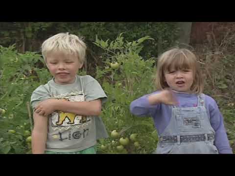 Teletubbies Series 14, Episode 13: Mud Hole