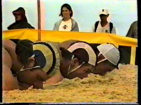 1996 Australian Open Mens Beach Flags Championships