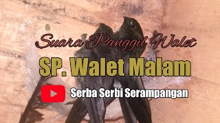 Download lagu SP WALET MALAM (SUARA PANGGIL WALET) mp3