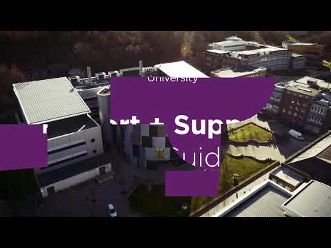 Report + Support User Guide