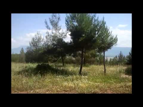 Tαξίδι στην καθημερινότητα !!! - Επεισόδιο 1