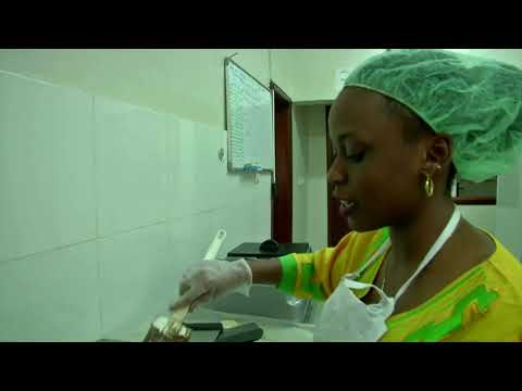 Congo and the chocolate factory