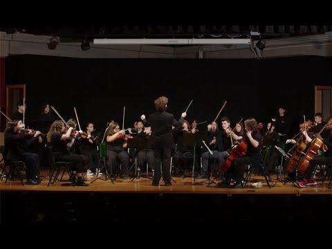 LA SENTENZA - "Carol of the bells" - Orchestra Maldestra