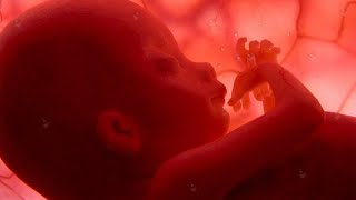 Download lagu 🎵🎵Pregnancy music for baby brain development ♥ Soothing, relaxing and peaceful🎵🎵 mp3