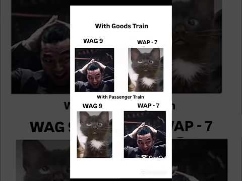 "WAG 9 vs WAP 7: Silent Battle with Goods & Passenger Train! ⚡🚆🐱" #wag9 #wap7 #indianrailways