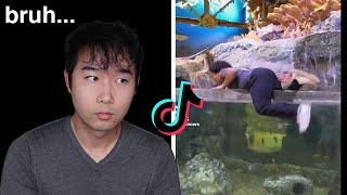 TikTok does it again | Fish Tank Review 221
