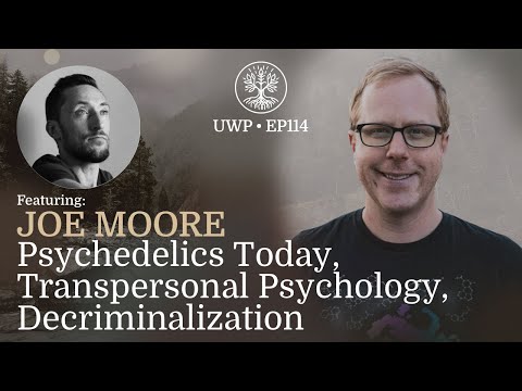 Universe Within Podcast Ep114 - Joe Moore - Psychedelic, Transpersonal Psychology, Decriminalization