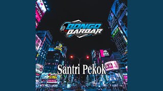 Download lagu Santri Pekok mp3