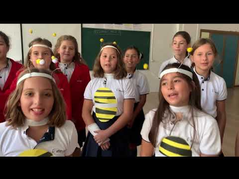 El Puertoblanco, de Algeciras, gana un concurso de villancicos nacional sobre las abejas