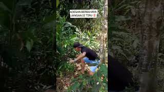 Download lagu Adegan berbahaya tidak untuk di tiru ‼ #fyp  #berbahaya #bahaya #tegang #takut mp3