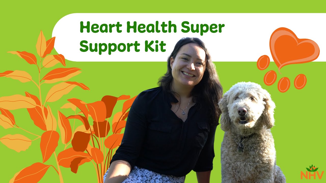NHV Heart Health Super Support Kit For Cats & Dogs