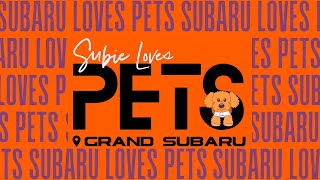 2024 Subaru Loves Pets