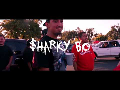Sharky Bo - Gurnt