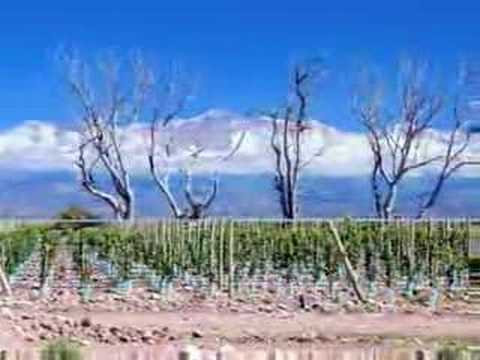 Michael Evans and The Vines of Mendoza